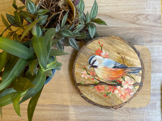 Blush in Bloom – Handpainted Songbird with Spring Blossoms
